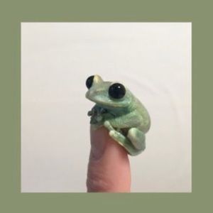 Meet your Posher, Presley